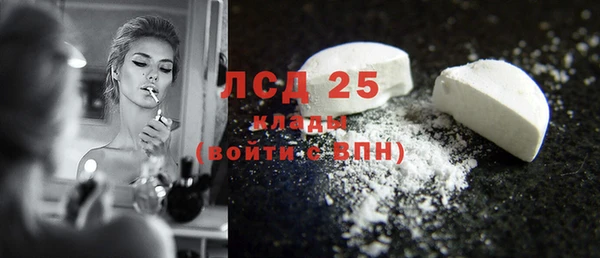 индика Вяземский