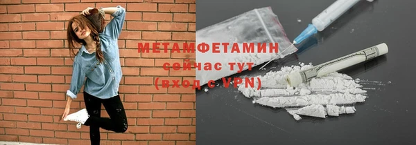 индика Вяземский