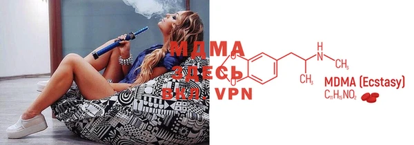 индика Вяземский