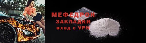 индика Вяземский
