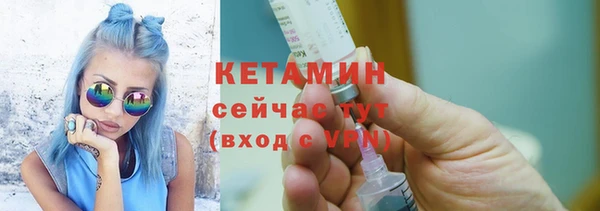 индика Вяземский