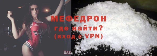 индика Вяземский