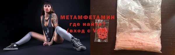 индика Вяземский