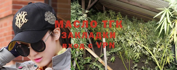 индика Вяземский