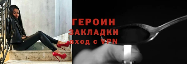 индика Вяземский