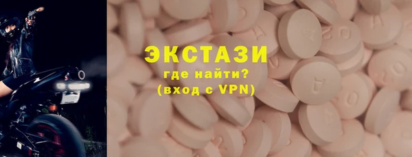 индика Вяземский