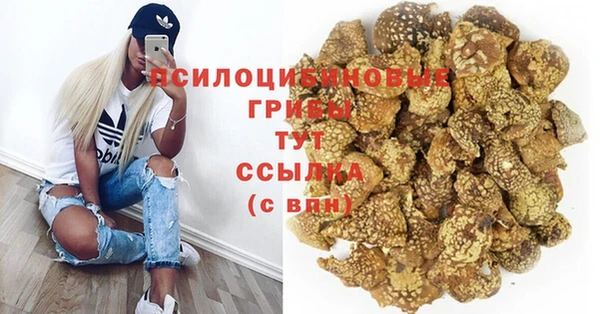 индика Вяземский