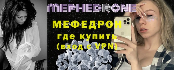 индика Вяземский