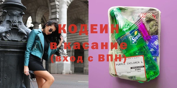 индика Вяземский