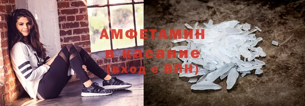 индика Вяземский