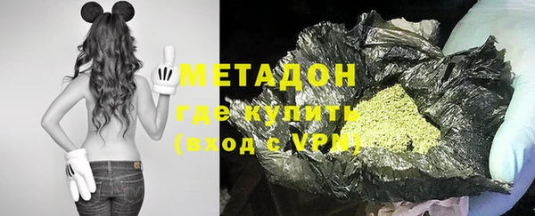 индика Вяземский