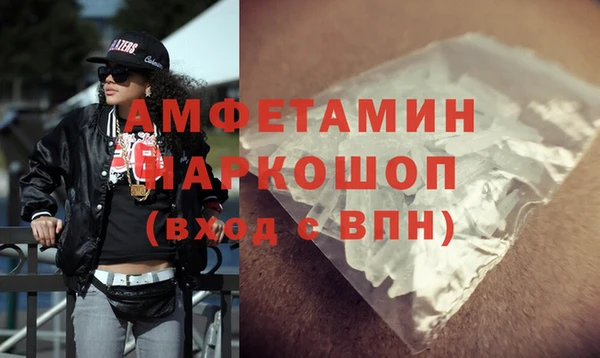индика Вяземский