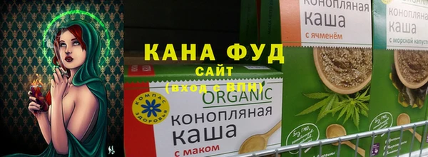 индика Вяземский