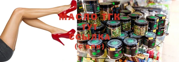 индика Вяземский