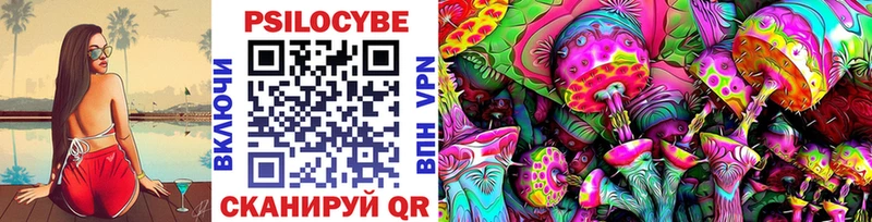 Купить где Игра Псилоцибиновые грибы Cubensis